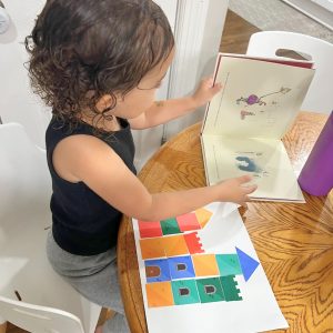 Cada livro que enviamos no Kit mensal, segue acompanhado de uma atividade educativa voltada a ab (2)